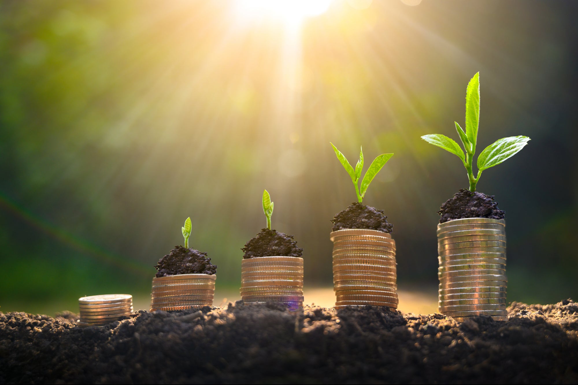 Yield Farming Platform