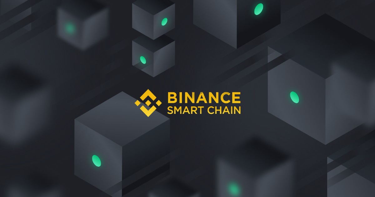 Binance Smart Chain blockchain visualization