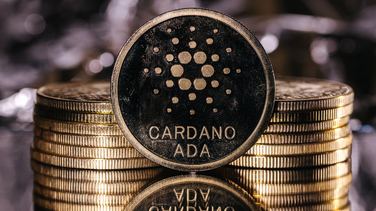 Cardano blockchain visualization