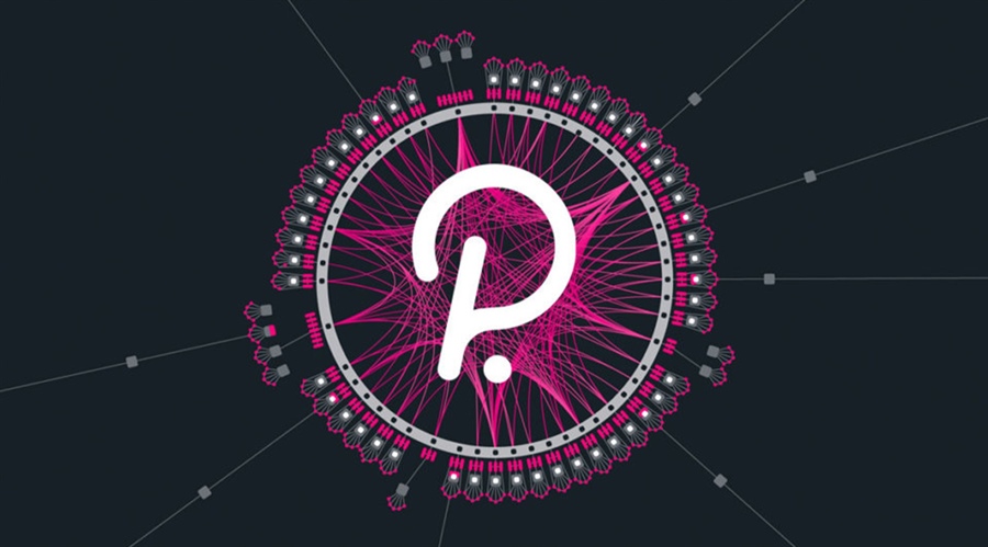 Polkadot blockchain visualization