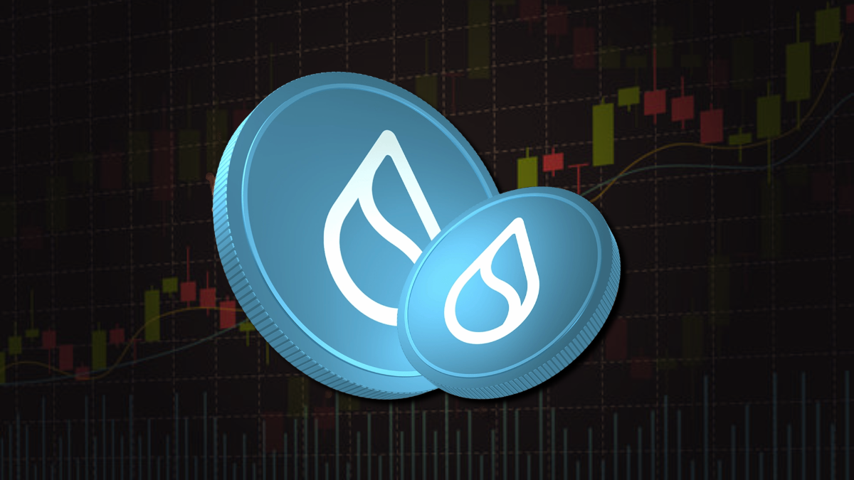 Sui blockchain network